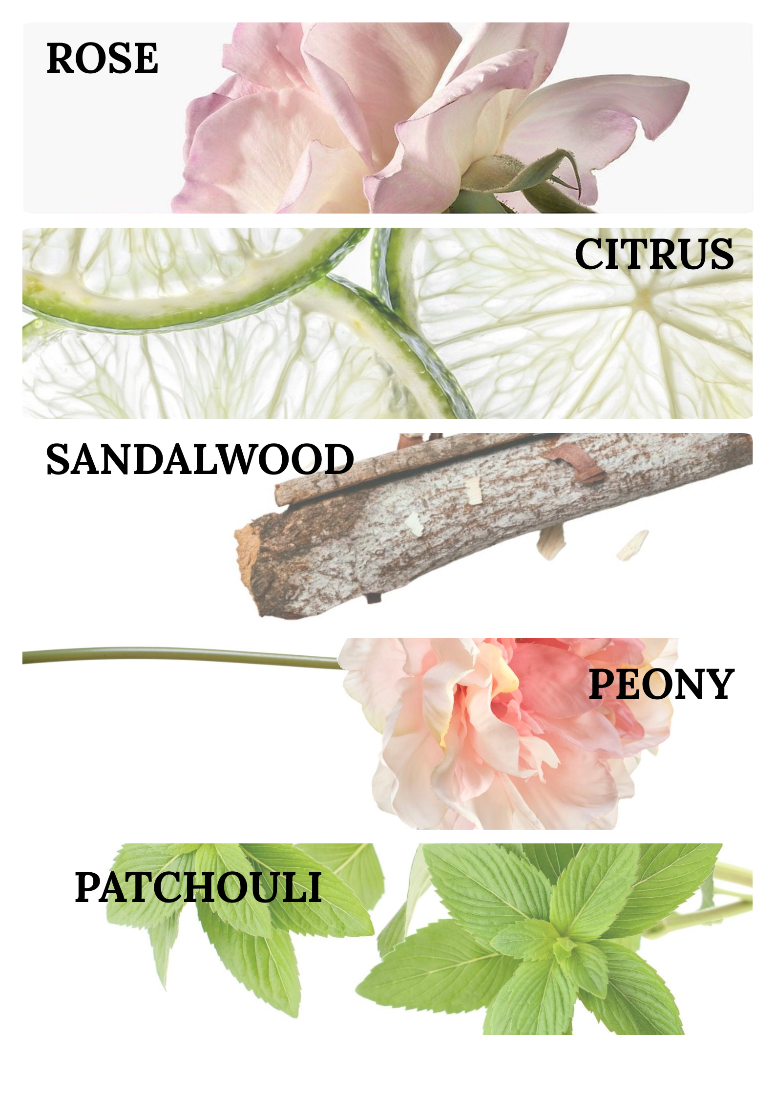 Phool Notes
