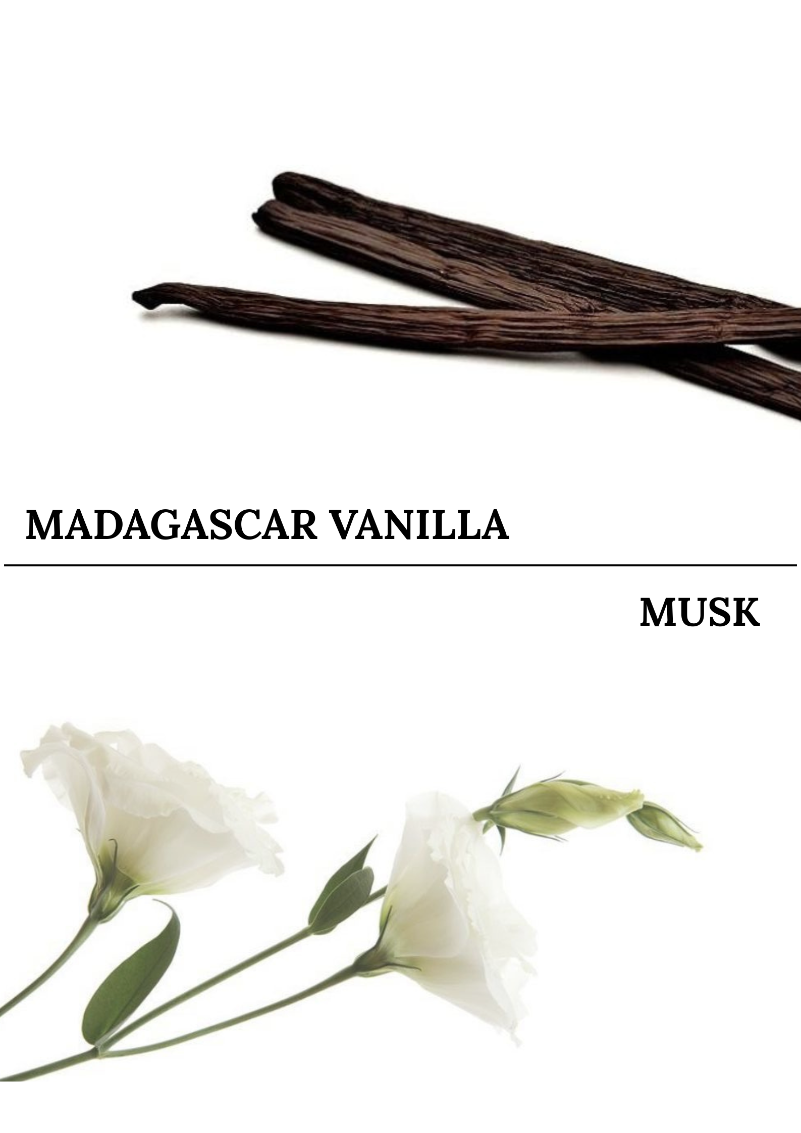 VANILLA notes
