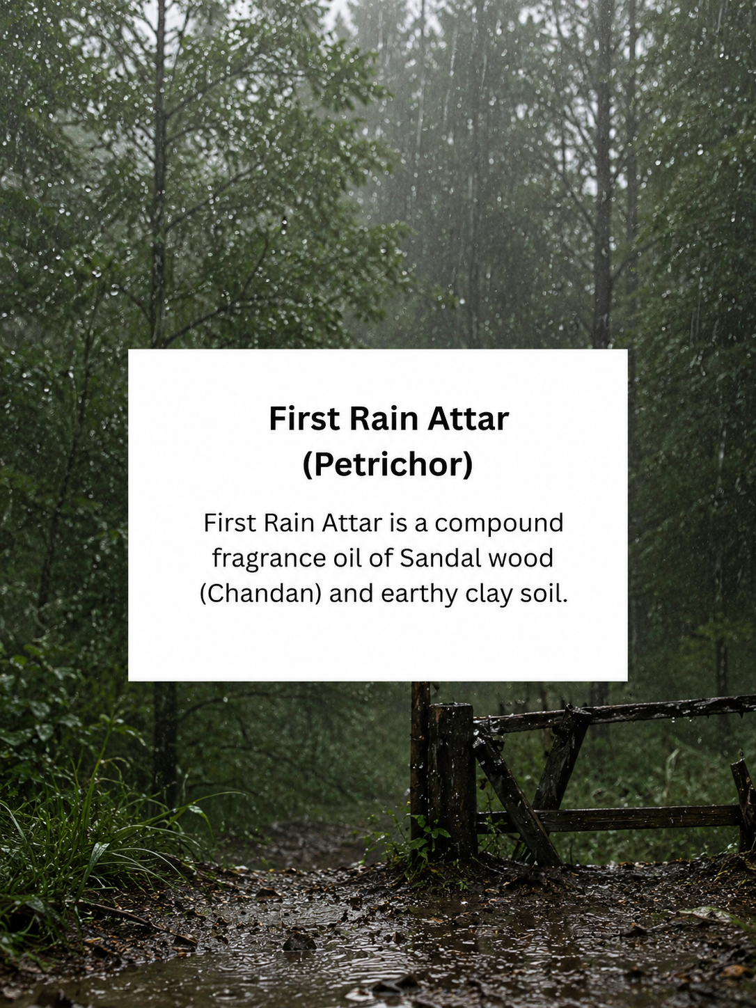 First Rain ing